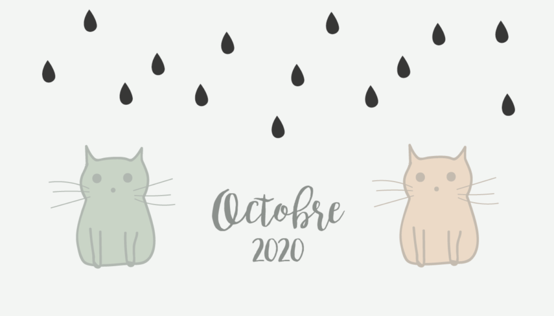 calendrier-octobre-chats-diy